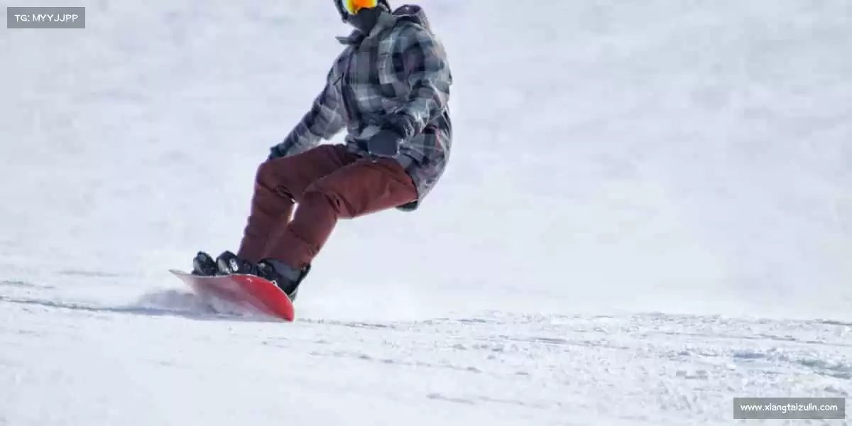 <strong>bsports官网红标</strong>跳进泳池，让每一次划水都成为对自我的超越🏊